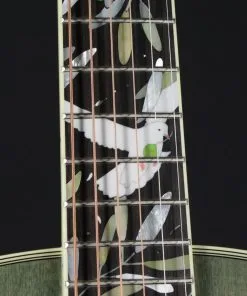 Κιθαρα Kithara κιθάρα Takamine Ltd 2020 Peace