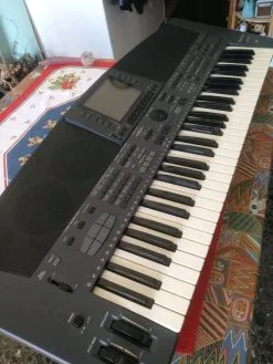 Επαγγελματικό αρμόνιο Technics SX-KN5000