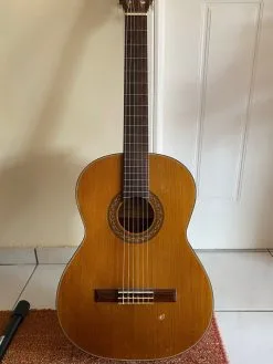 Κλασική κιθάρα ARIA Concert Guitar και ΔΩΡΟ υποπόδιο!