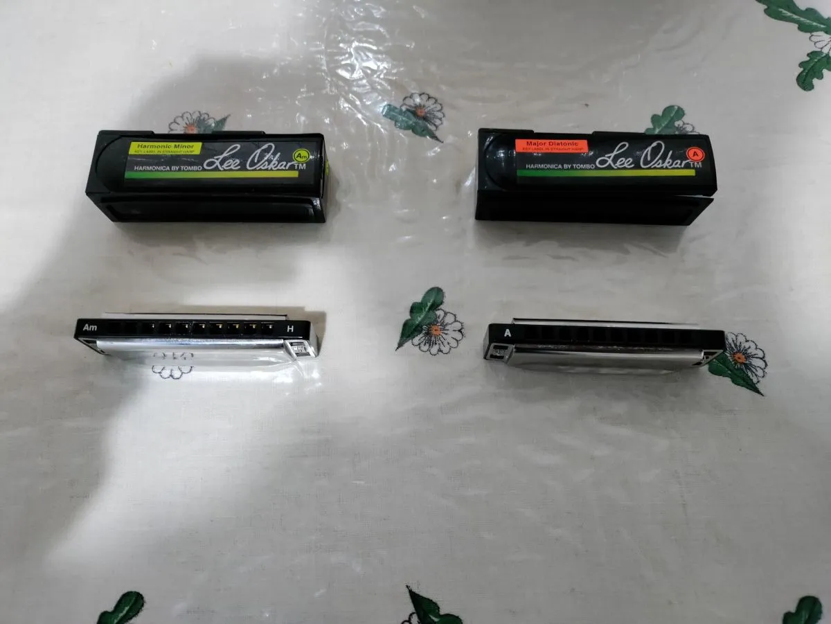 ΦΥΣΑΡΜΟΝΙΚΕΣ LEE OSCAR - Image 2