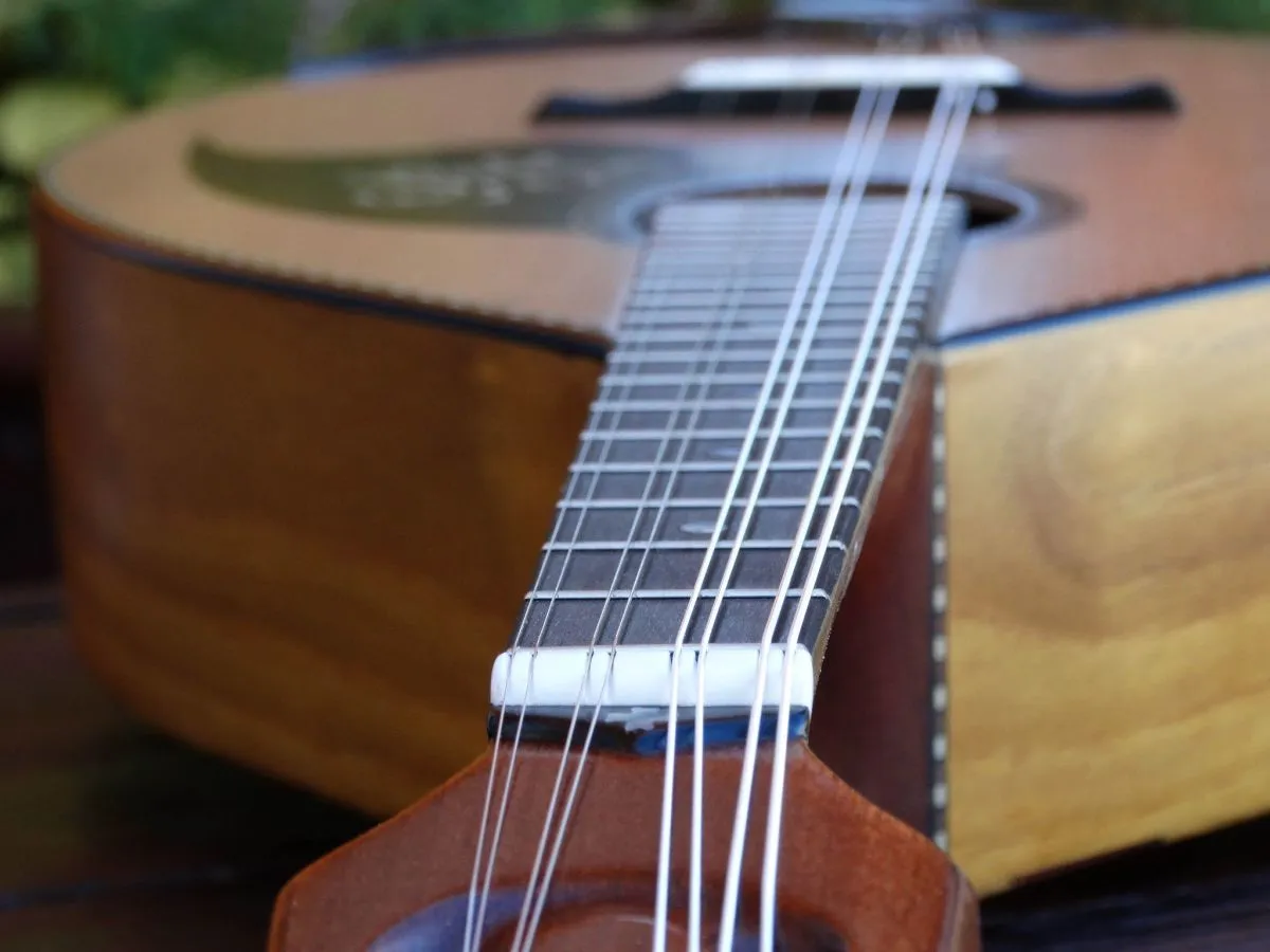 ΜΑΝΤΟΛΙΝΟ ΚΡΗΤΙΚΟ - Image 8