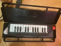 Μουσικό οργανο