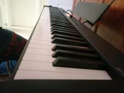 Stage Piano CASIO CDP-S350!!!