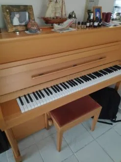 Bechstein - Πιανο Για Προχωρημενους