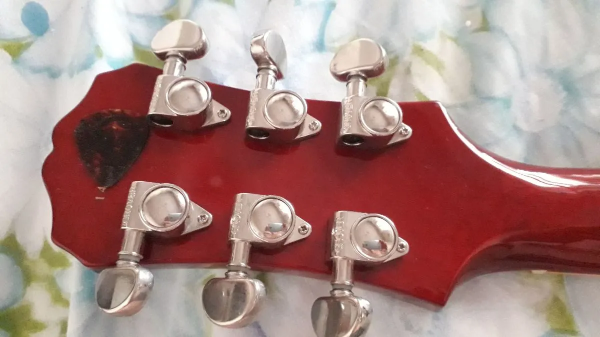 Epiphone Les Paul Standard Plus Top PRO 2015 - Image 5