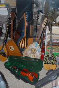 10 μουσικα οργανα πολουνται ολα μαζι σαξοφωνο κιθαρες ντραμς . μπουζούκια τριχορδο και τετραχορδο . Μπαλαλάικα . σαζι . Βιολί.