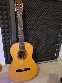 κλασικη κιθαρα Esteve