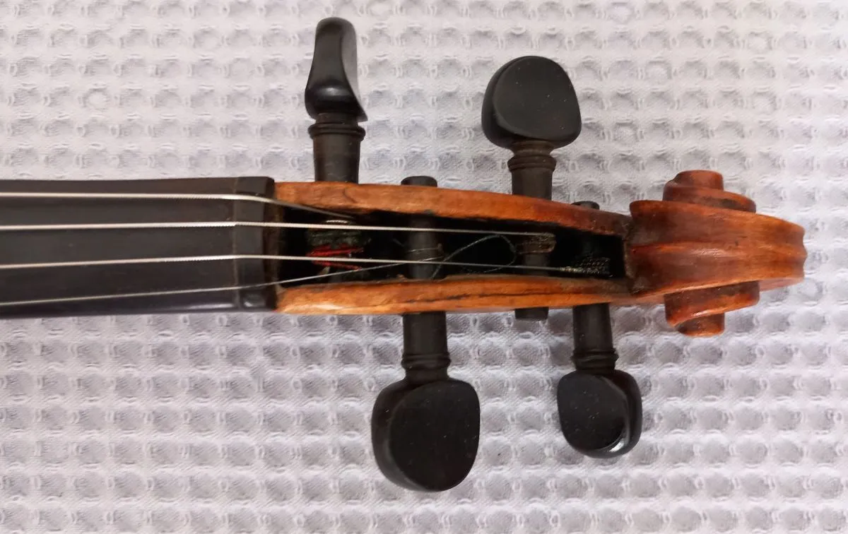 Βιολί - Image 6