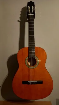 ακουστική κιθάρα και θηκη