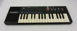 Casio PT 100