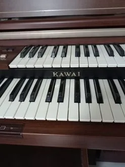 Kawai Organ