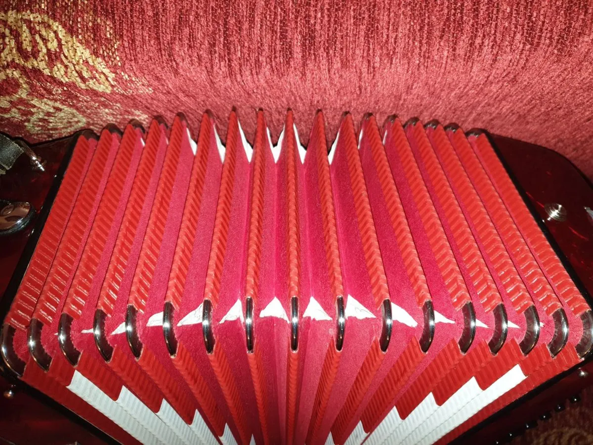 ΑΚΟΡΝΤΕΟΝ GABBANELLI 50B !! ΚΑΙΝΟΥΡΓΙΟ !! - Image 7