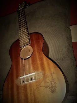 γιουκαλιλι αριστη κατασταση