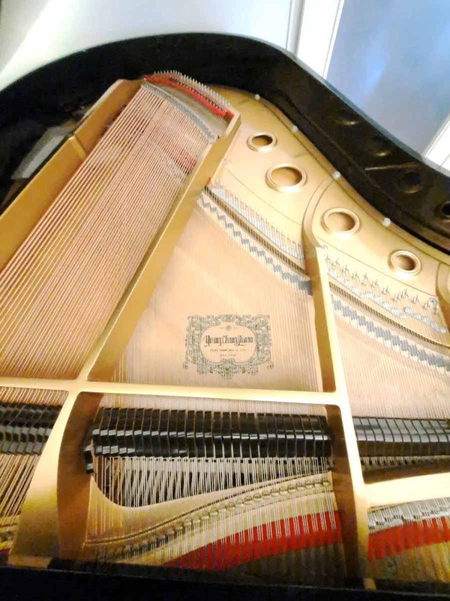 Πιάνο με ουρά (YOUNG CHANG) - Image 5