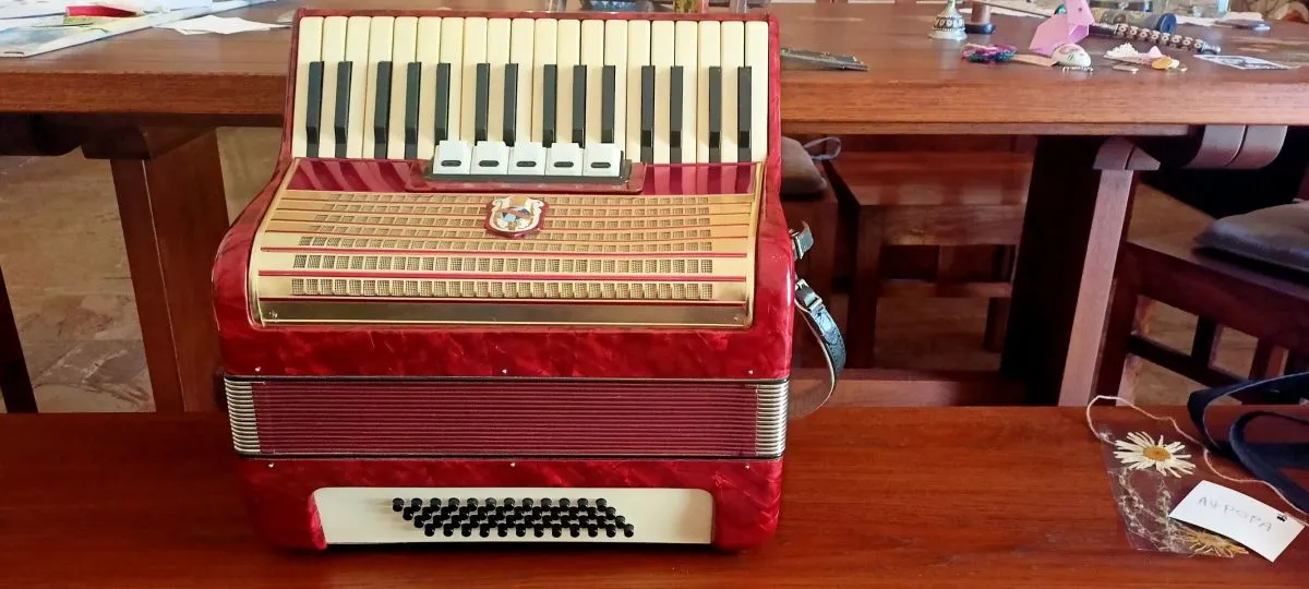 Ακορντεόν προς πώληση - Image 7