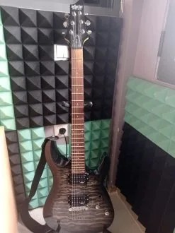 Schecter Diamond Series C-6 PLUS