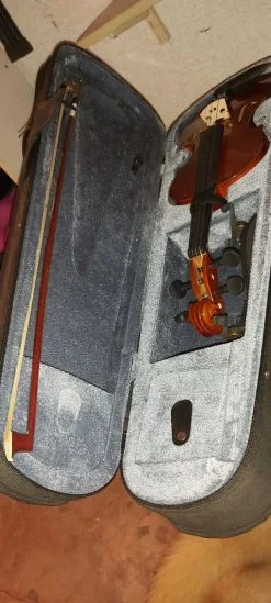 Βιολί σε άριστη κατάσταση, μέσα στη θήκη του. Ευκαιρία!