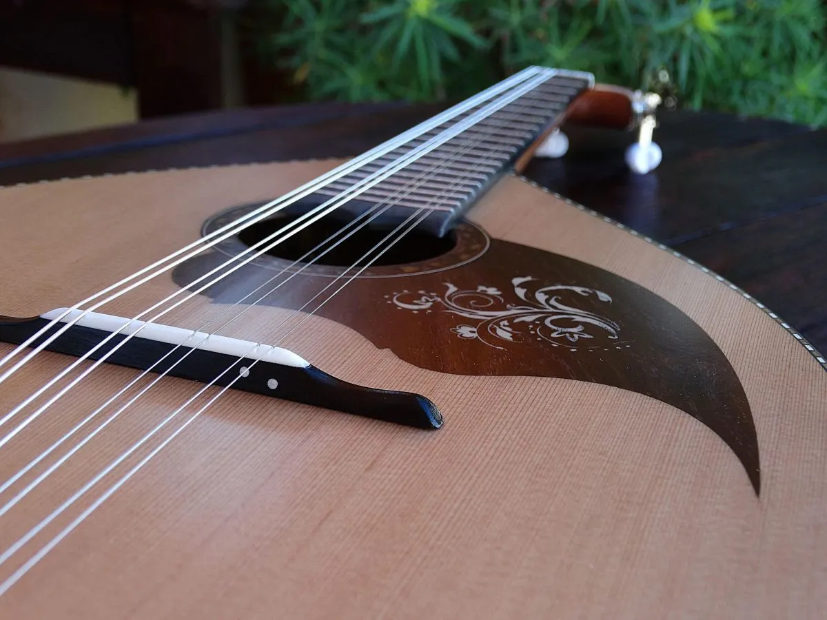 ΜΑΝΤΟΛΙΝΟ ΚΡΗΤΙΚΟ - Image 9