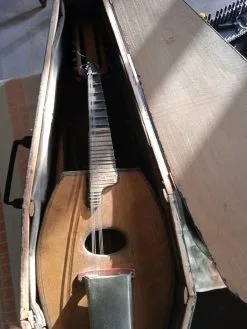 Ινδικό όργανο