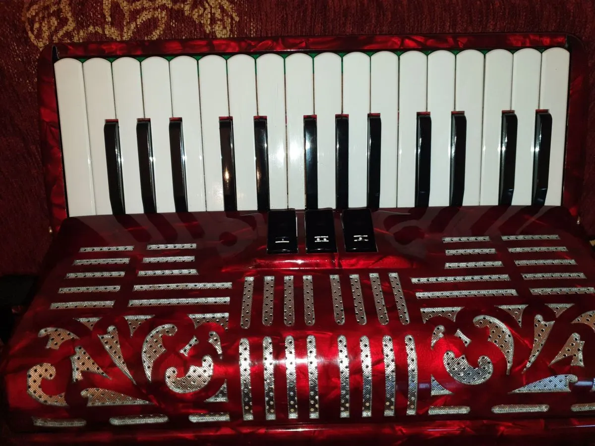 ΑΚΟΡΝΤΕΟΝ GABBANELLI 50B !! ΚΑΙΝΟΥΡΓΙΟ !! - Image 2