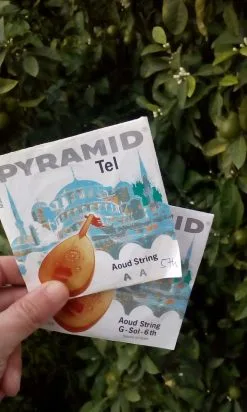 Καινούριες χορδές για ούτι δύο σακουλάκια Pyramid Made In Germany