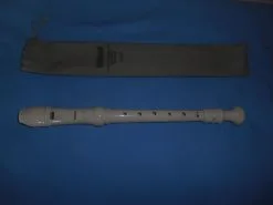 ΦΛΟΓΕΡΑ - YAMAHA YRS 24B