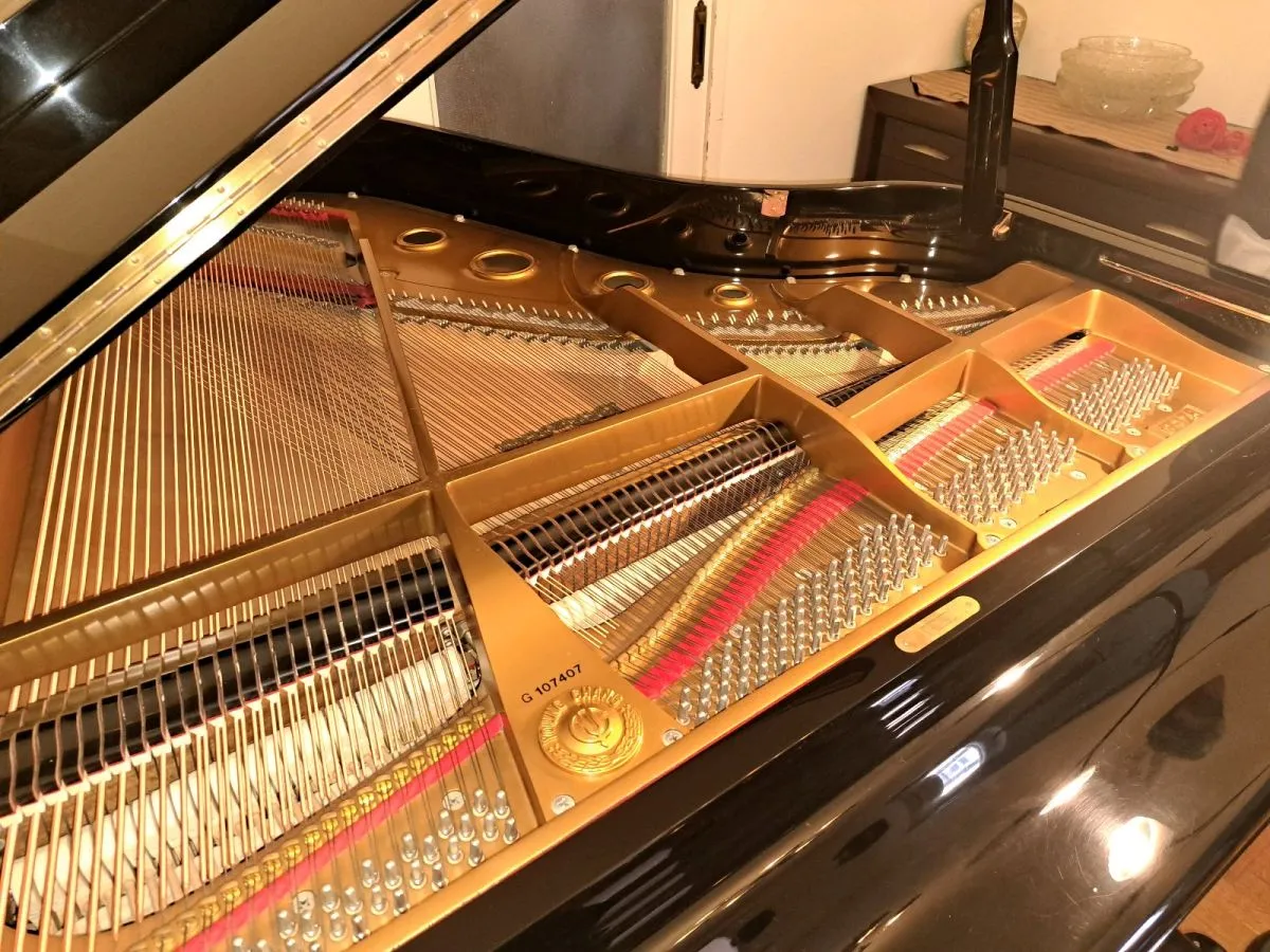 Πιάνο με ουρά (YOUNG CHANG) - Image 2