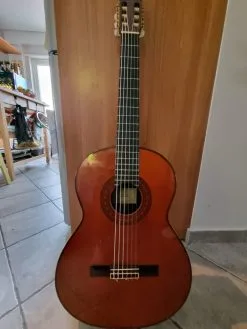 Κιθάρα Concierto Nr. 78 - Dieter Hopf - 1971