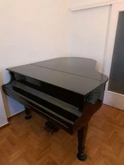 Πιάνο με ουρά (YOUNG CHANG)