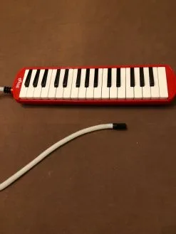 Μελόντικα Stagg