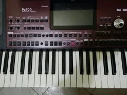 ΠΩΛΟΥΝΤΑΙ ΕΠΑΓΓΕΛΜΑΤΙΚΑ ΣΕΤ ΓΙΑ KORG PA700/KORG PA1000+ΔΩΡΟ ΣΕΤ ΓΙΑ PA600/PA800 ΚΑΙ ΟΛΑ ΤΑ ΣΕΤ ΠΟΥ ΕΧΩ