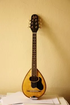 Επαγγελματικό μπαγλαμαδάκι δογάτο με εξαιρετικό ήχο