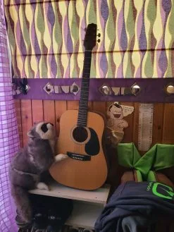 κιθάρα πολύ φθηνά προς πώληση