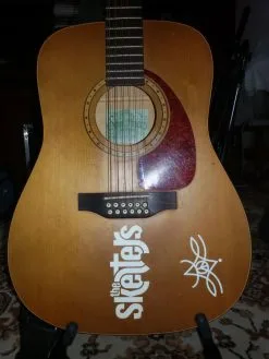 12Χορδη Ηλεκτροακουστική Κιθάρα Simo & Patrick