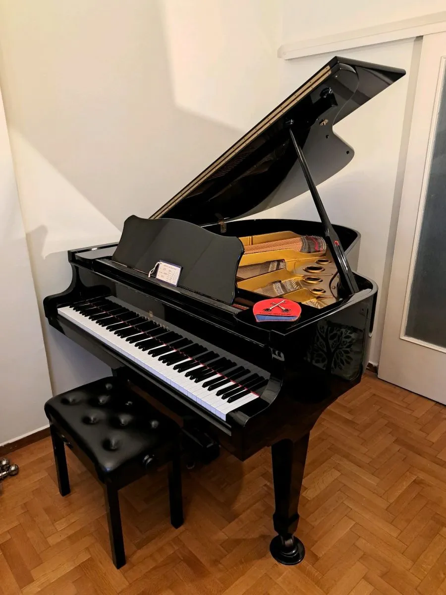 Πιάνο με ουρά (YOUNG CHANG) - Image 3