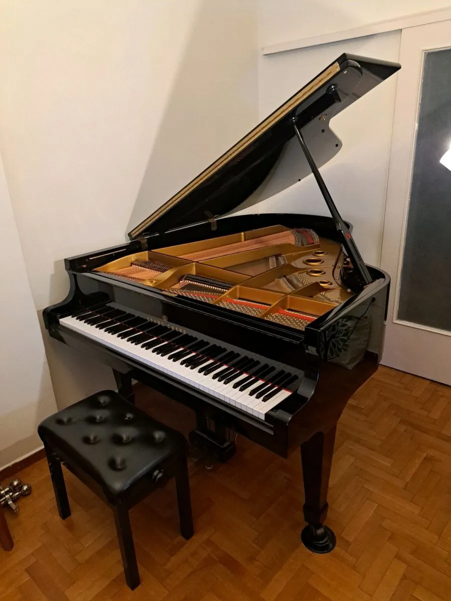 Πιάνο με ουρά (YOUNG CHANG) - Image 4