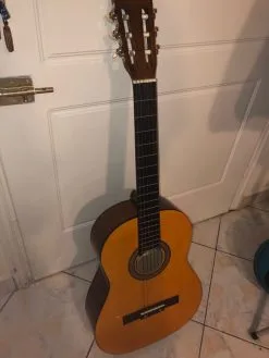 Κλασσικη Επαγγελματική κιθάρα