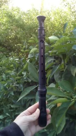 Φλογέρα Echus